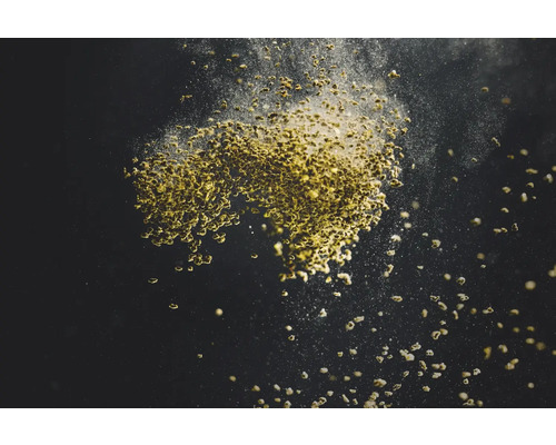 Samen für die Aussaat auf dunklem Grund