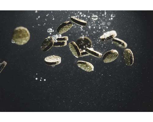 Tablettenförmiges Fischfutter im Wasser