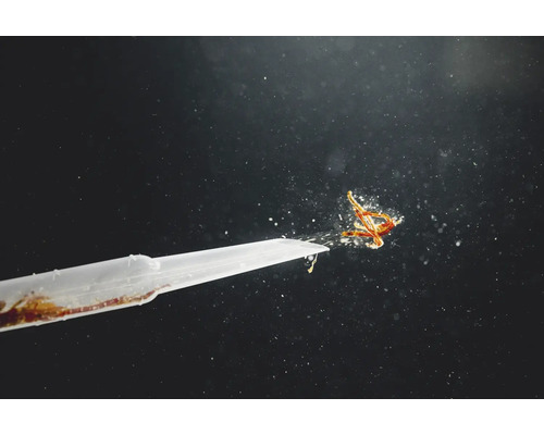 Einweg-Pipette mit Flüssigkeit