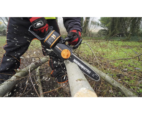 Une personne scie une branche avec une tronçonneuse à batterie Worx Nitro.