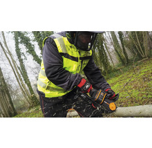 Tronçonneuse sans fil WORX Nitro 20V 30cm WG350E.9, moteur brushless, sans batterie ni chargeur double