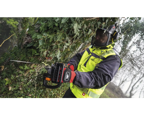 Une personne portant un équipement de protection coupe des branches et du lierre avec une tronçonneuse sur perche.