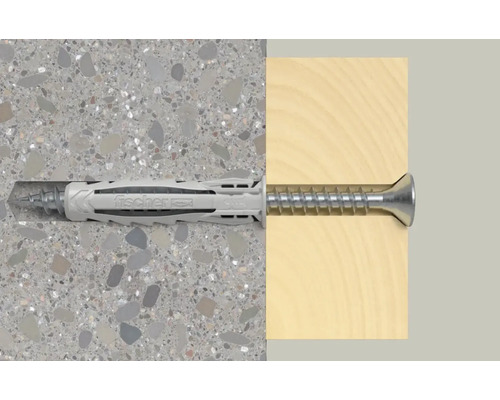 Cheville Fischer avec vis dans mur et bois