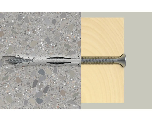 Cheville Fischer avec vis dans mur et bois