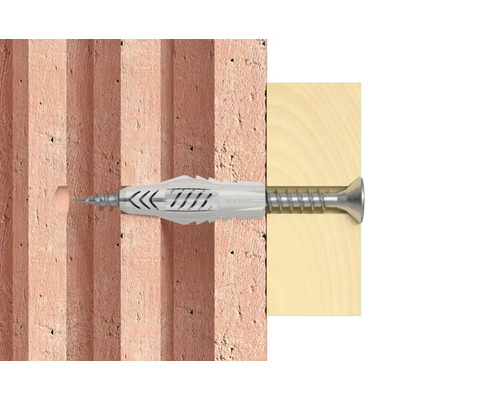 Cheville universelle avec vis dans mur et bois