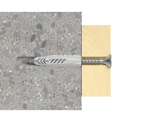 Cheville Fischer avec vis dans mur et bois