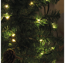 Weihnachtsbaum mit warmweißer Lichterkette und Tannenzapfen
