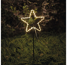 Étoile lumineuse pour la décoration dans le jardin