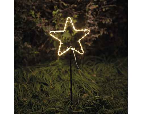 Étoile lumineuse pour la décoration dans le jardin