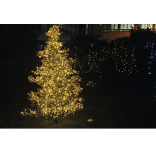 Beleuchteter Weihnachtsbaum im Aussenbereich