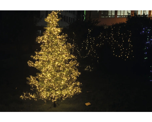 Beleuchteter Weihnachtsbaum im Aussenbereich