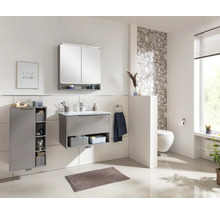 Badmöbel-Set FACKELMANN B.Paris BxHxT 705 x 493 x 465 mm Frontfarbe cubanit grey mit Glaswaschtisch