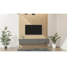 Salon avec mur TV, meuble TV et plantes d''intérieur
