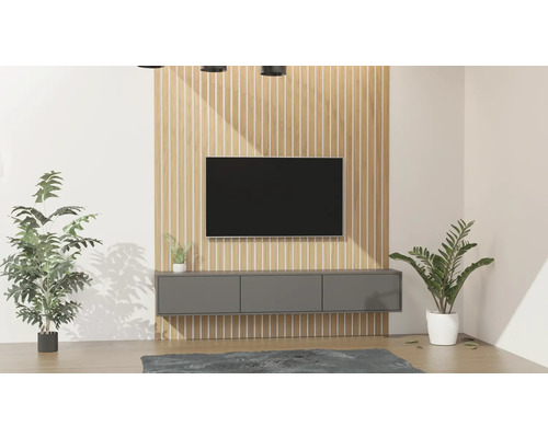 Wohnzimmer mit Fernsehwand, TV-Möbeln und Zimmerpflanzen