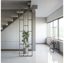 Pièce lumineuse avec escalier, séparation de pièce et plantes