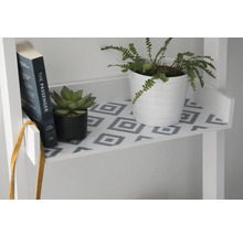 Étagère décorative avec livre, plante grasse et fougère en pot