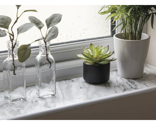 Plantes d''intérieur décoratives sur un rebord de fenêtre