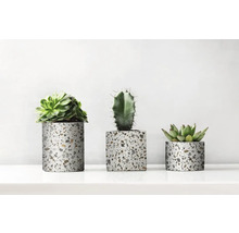 d-c-fix® Klebefolie Steindekor Terrazzo 200x67,5 cm