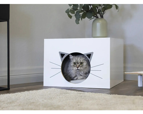Chat dans une maison pour chats avec un motif de visage de chat