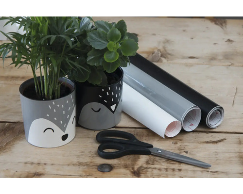Deux pots plantés avec film décoratif, ciseaux et trois rouleaux de film décoratif sur une table.