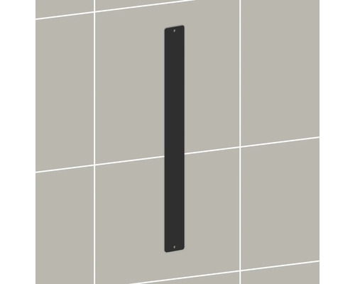REIKA Montageplatte Ovaro für Magnetaccessoires 457 x 50 mm schwarz matt