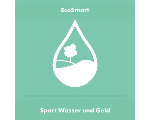 EcoSmart Symbol: Spart Wasser und Geld