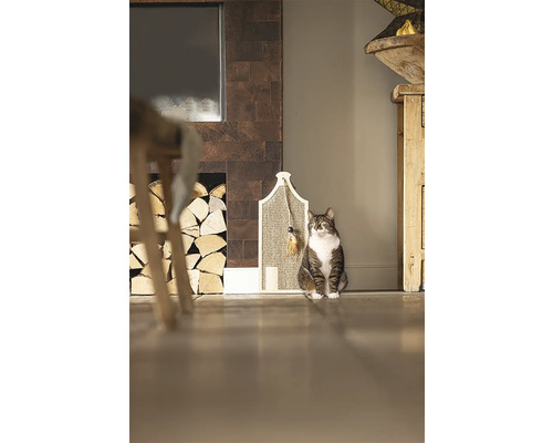 Katze sitzt vor einem Kratzbaum im Wohnzimmer.