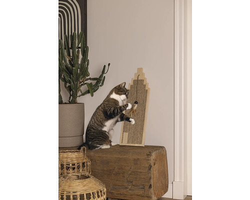 Katze spielt mit Kratzbaum auf einem Baumstamm