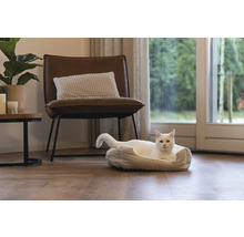 Appartement lumineux avec chat dans un lit pour animaux, fauteuil et table d''appoint