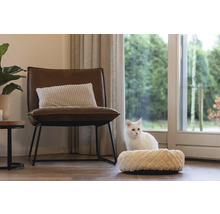 Salon avec fauteuil, coussin et lit pour chat avec chat