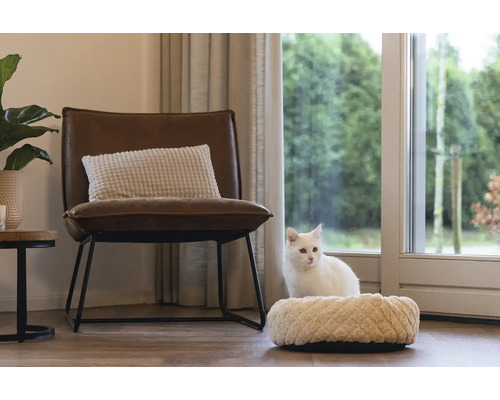 Salon avec fauteuil, coussin et lit pour chat avec chat