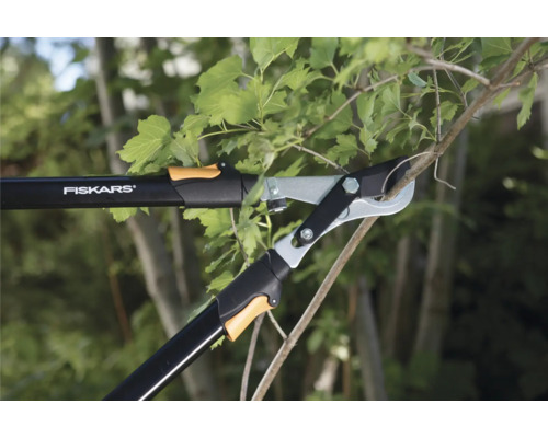 Logo Fiskars. L''ébrancheur coupe une branche.