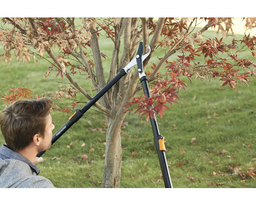 Un homme coupe un arbre avec un ébrancheur télescopique.