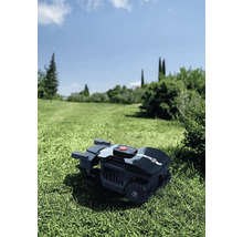 Robot tondeuse sur une pelouse dans le jardin