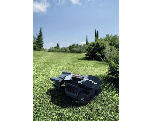 Robot tondeuse sur une pelouse dans le jardin