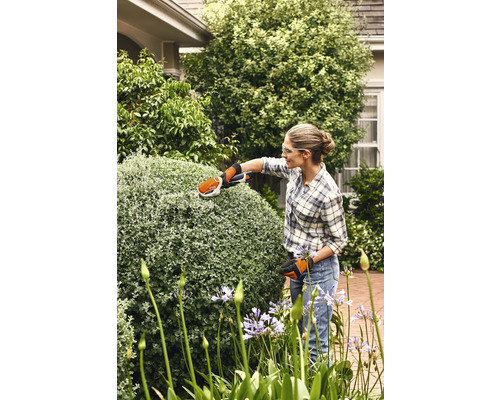 Femme taillant une haie avec un taille-haie sans fil dans le jardin.