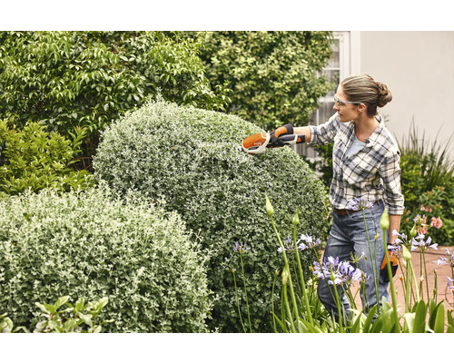 Femme coupant du buis avec un taille-haie sans fil dans le jardin
