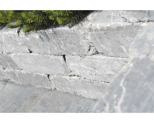 Mur en pierres naturelles avec végétation verte