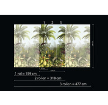 Tropische Fototapete mit Palmen und Pflanzen, Größenangaben für eine, zwei oder drei Rollen.
