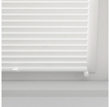 SOLUNA Faltenplissee ohne Bohren Thermo verdunkelnd mit Seitenverspannung weiß 55x130 cm