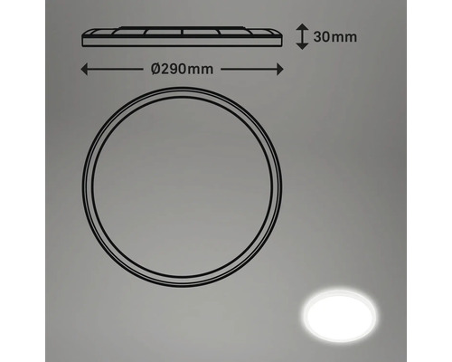 Schéma technique d''un plafonnier rond d''un diamètre de 290 mm et d''une hauteur de 30 mm.