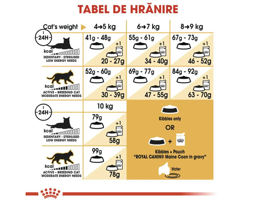 Fütterungstabelle für Katzen mit einem Gewicht zwischen 4 und 10 Kilogramm, abhängig vom Aktivitätslevel