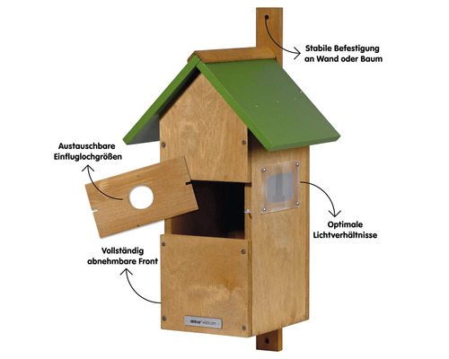 Nichoir en bois avec toit vert, tailles de trous d''envol interchangeables et façade amovible