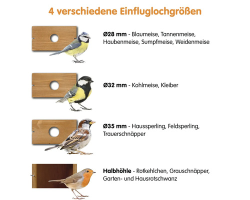 Informations sur différentes tailles de trous d''envol pour les nichoirs et les espèces d''oiseaux appropriées.