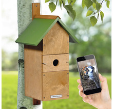 Nichoir avec fonction caméra sur un arbre, visualisé via smartphone