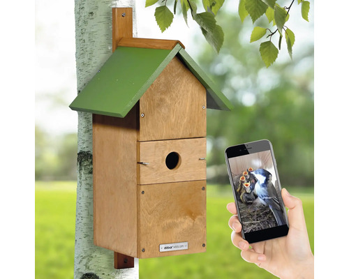 Nichoir avec fonction caméra sur un arbre, visualisé via smartphone