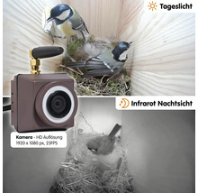 Caméra pour nichoir avec fonction de vision diurne et nocturne infrarouge