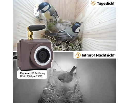 Caméra pour nichoir avec fonction de vision diurne et nocturne infrarouge