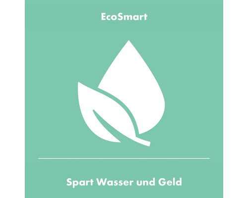 EcoSmart Symbol: Spart Wasser und Geld