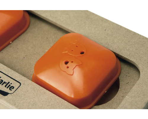 Intelligenzspielzeug für Hunde mit Schiebern und Tier Motiven